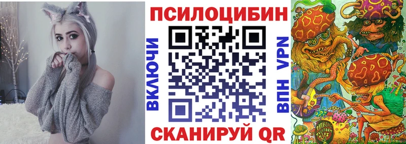 Псилоцибиновые грибы MAGIC MUSHROOMS  купить наркоту  Бежецк 